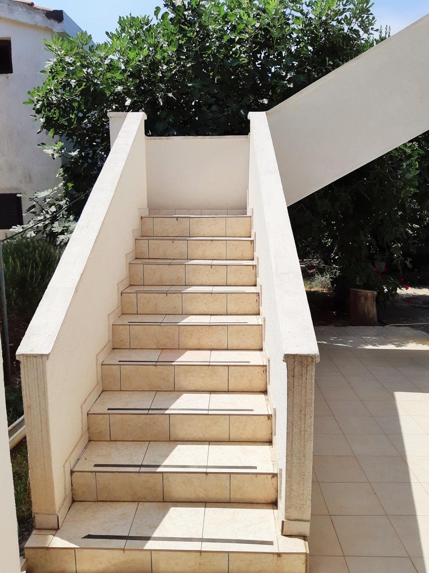 Dalmatino Apartmani Vir Kamer foto